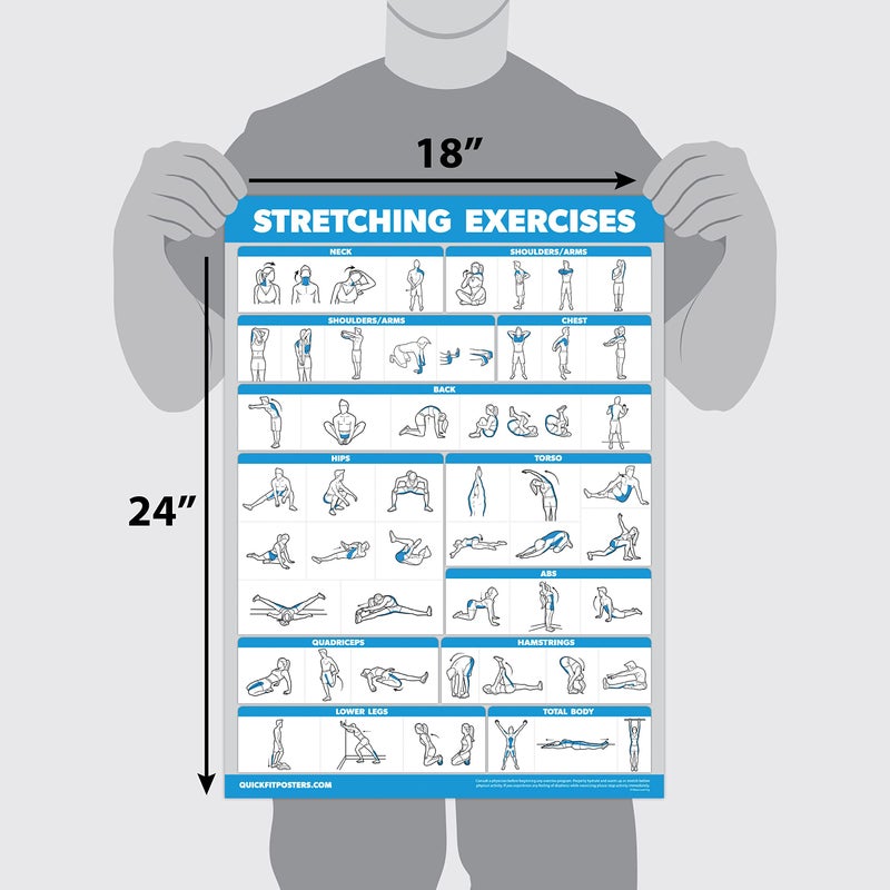 Palace Learning QuickFit 2 Pack - Stretching Exercise Poster - Laminated 18" x 24" & Bodyweight Exercise Playing Cards - 2.5" x 3.5" - Image 4